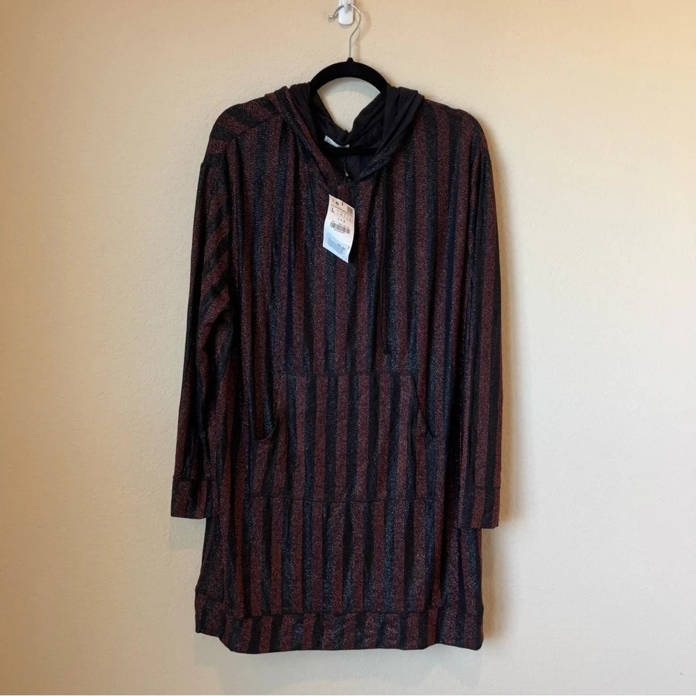 NWT Zara Stripes Metallic Hooded Pullover